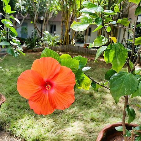 The Well Beach Side Guest House Auroville Luaran gambar