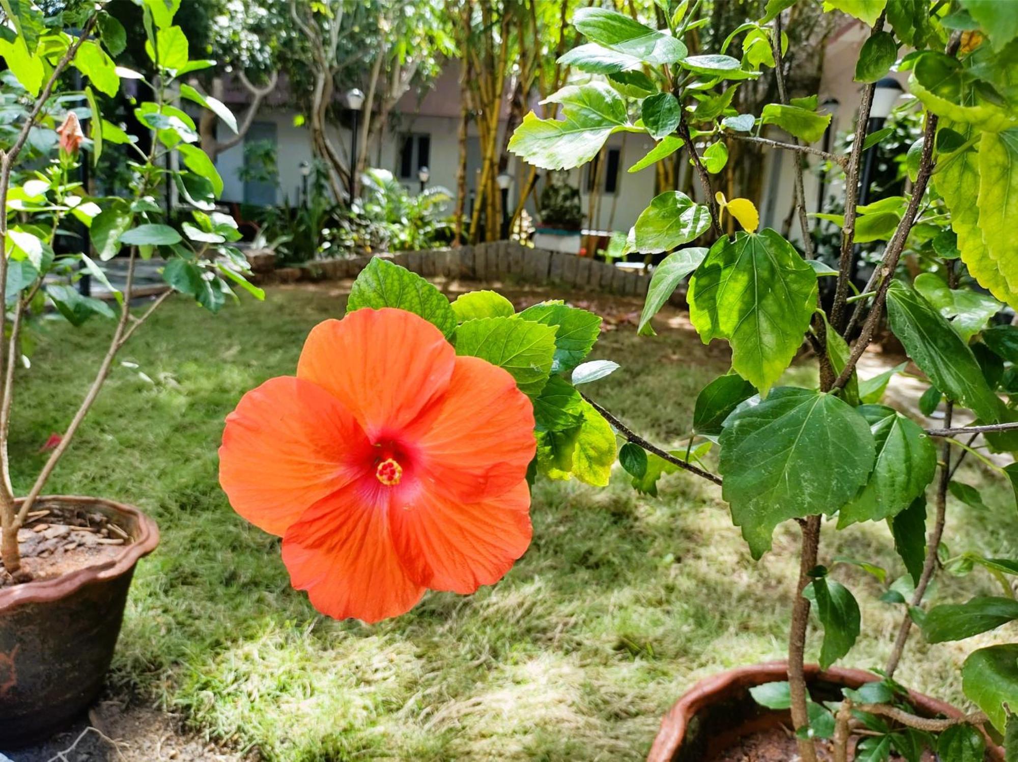 The Well Beach Side Guest House Auroville Luaran gambar