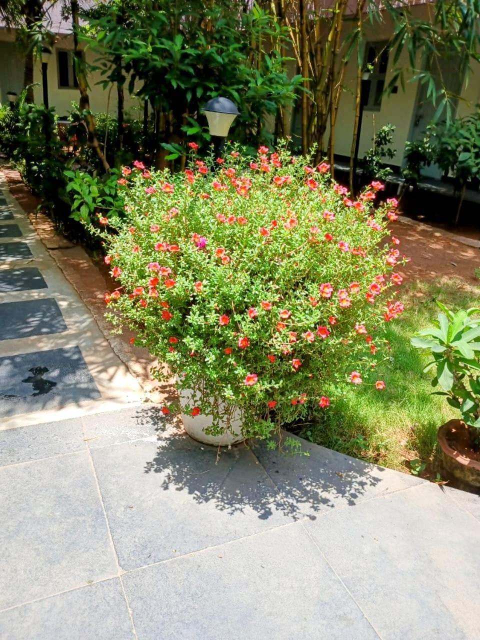 The Well Beach Side Guest House Auroville Luaran gambar